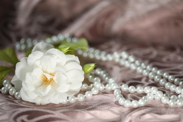 white beautiful rose with pearls on pink background. romantic. copy space