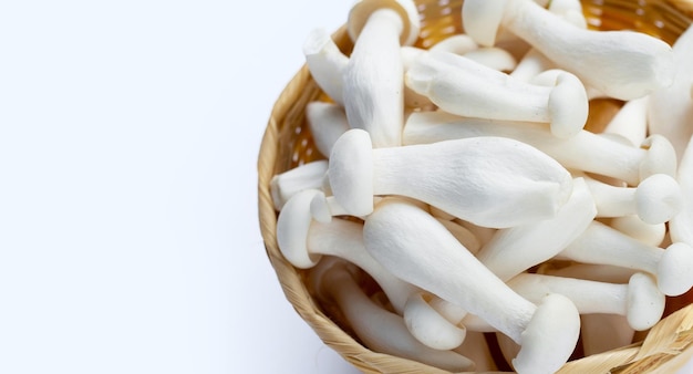 White beech mushrooms Shimeji mushroom Edible mushroom on white background