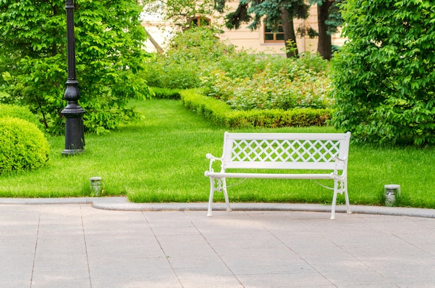 White bench in garden near path against wall of nature