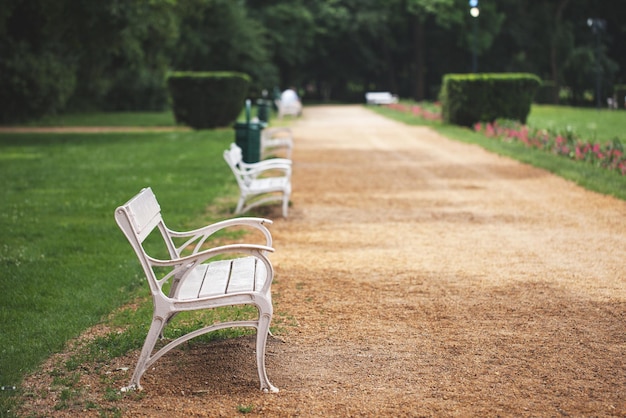 A white bench stands in the park