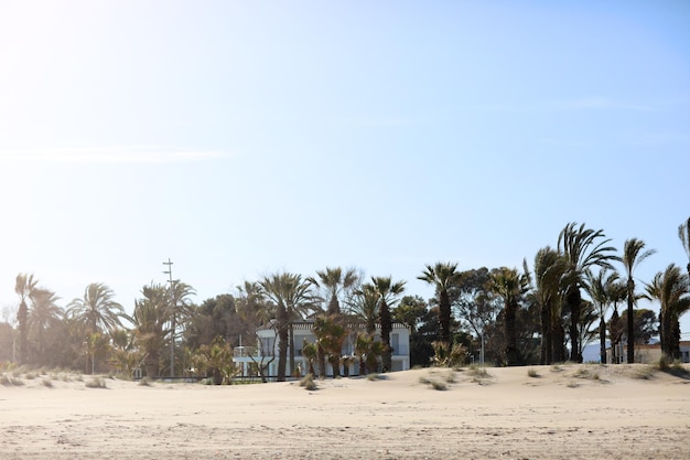 White big villa between palm on beach by the sea in Spain High quality photo