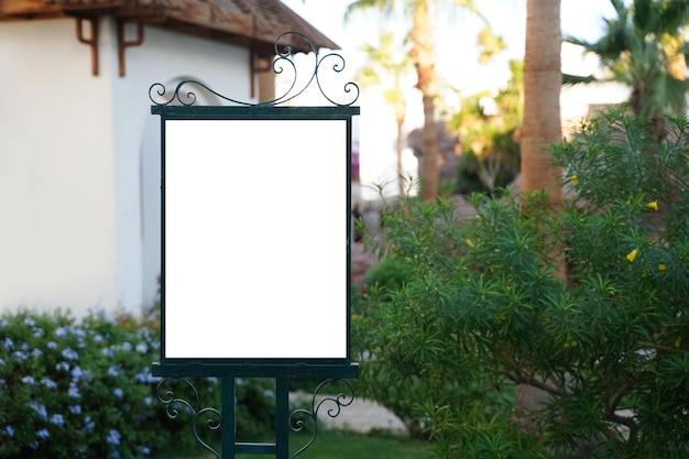 White billboard on spring summer green leaves background. High quality photo