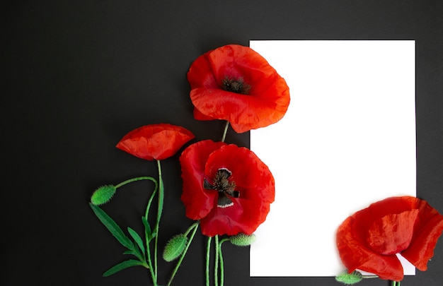 White blank card with red poppies flowers floral frame creative greeting invitation flower postcard