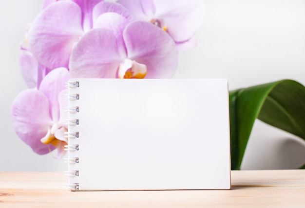 White blank notebook with place to insert text on the table against the surface of a light pink orchid