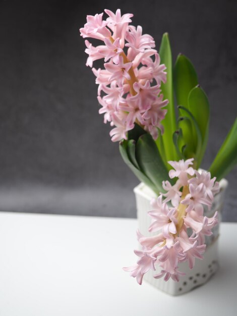 A white book with a bunch of flowers on it