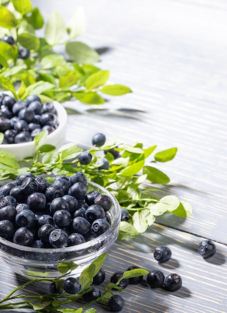 White bowl with wild blueberries with green fresh branches on gray wooden backdrop