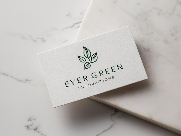 a white box with a green plant on it