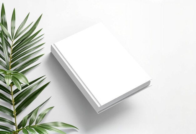 Photo a white box with a green plant on the side