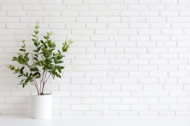 White brick wall background architecture plant leaf