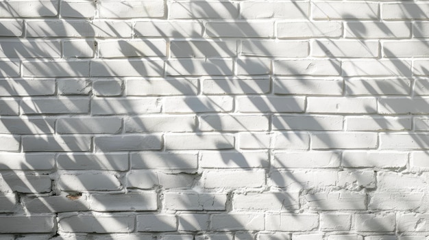 White brick wall background with natural light and shadow play