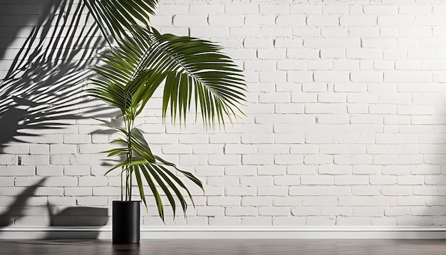 Photo white brick wall with a shadow of a palm leaf on it