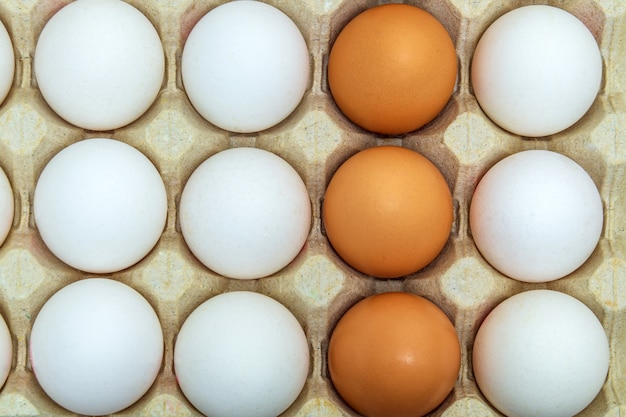 White and brown chicken eggs in tray