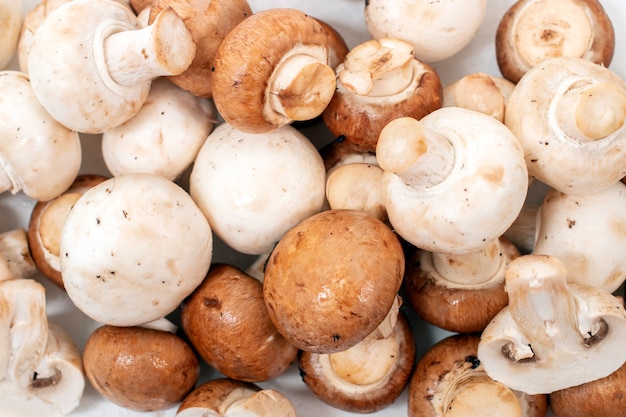 White and brown mushrooms