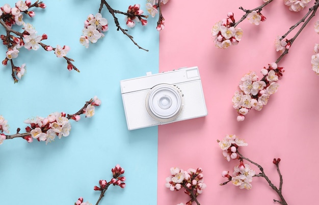 White camera with beautiful flowering branches on pink blue background Minimal concept Flat lay top view