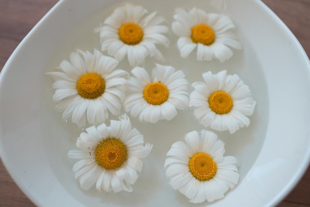 White camomiles in bowl of water on wooden table