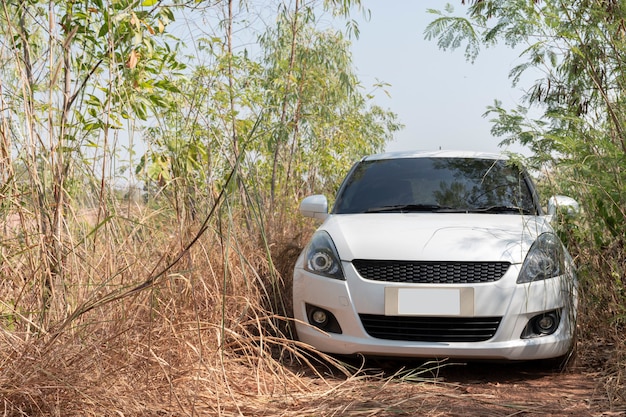 White car in forest