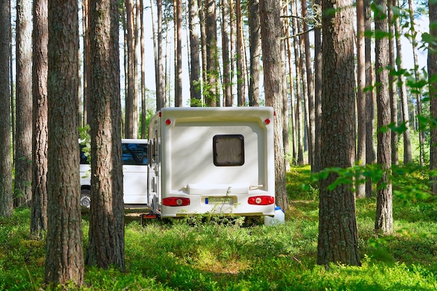 White caravan trailer parked on a green lawn in pine forest Leisure activity eco tourism