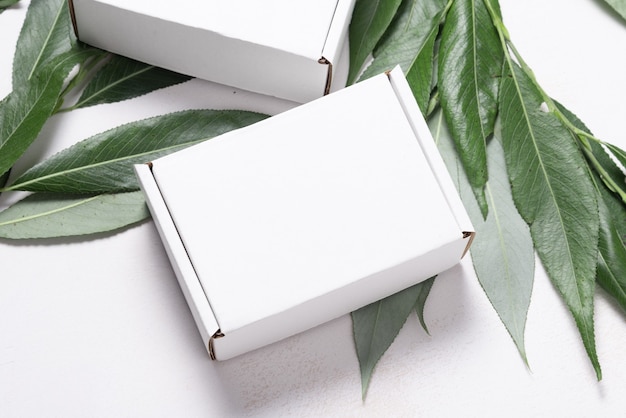 White cardboard carton box with fresh tree branch ecological package