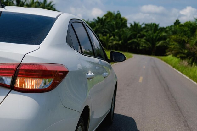 White cars parked on the roadside with natural backgrounds and with bright sunlight