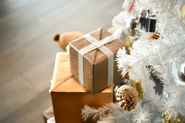 White cedar and gift box for christmas.