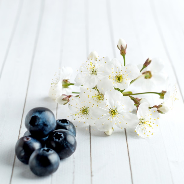 White cherry blossom and blueberry close up