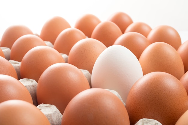 White chicken egg among brown in the tray storage