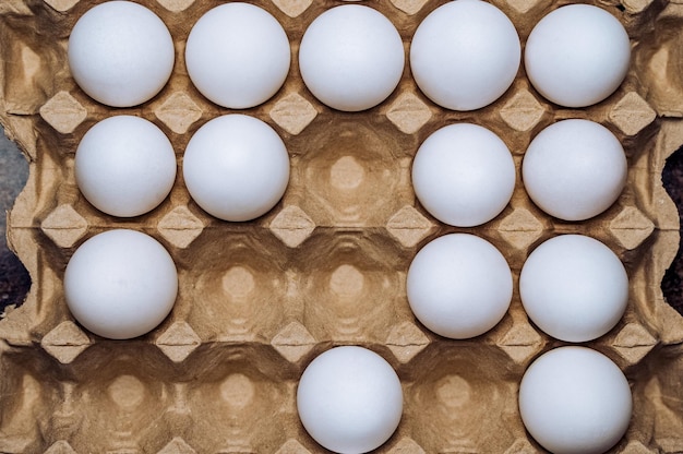 White chicken eggs in a cardboard box with empty space background