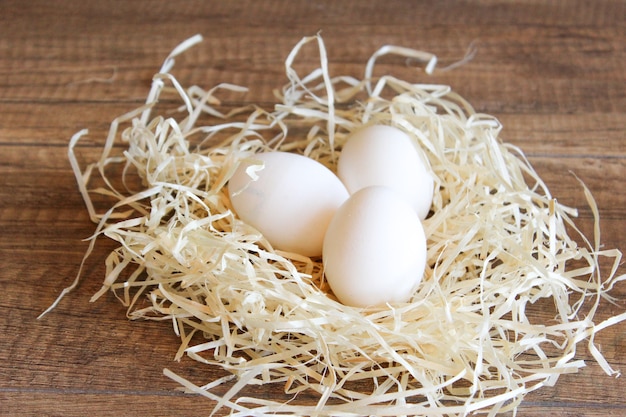 White chicken eggs in a nest