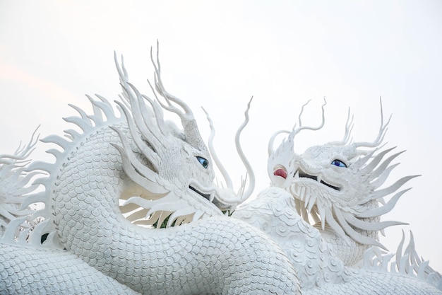 White Chinese dragon decorated on a Chinese dragon sculpture design background