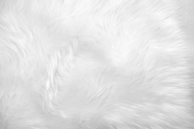 White clean wool texture background light natural sheep wool blanket seamless cotton texture of fluffy fur for designers Fragment green serge carpetTweed haircloth