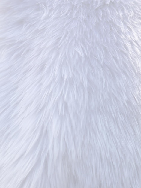 White clean wool texture background light natural sheep wool white seamless cotton texture of fluffy fur for designers closeup fragment white wool carpet