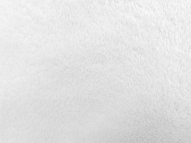 White clean wool texture background light natural sheep wool white seamless cotton texture of fluffy fur for designers closeup fragment white wool carpet