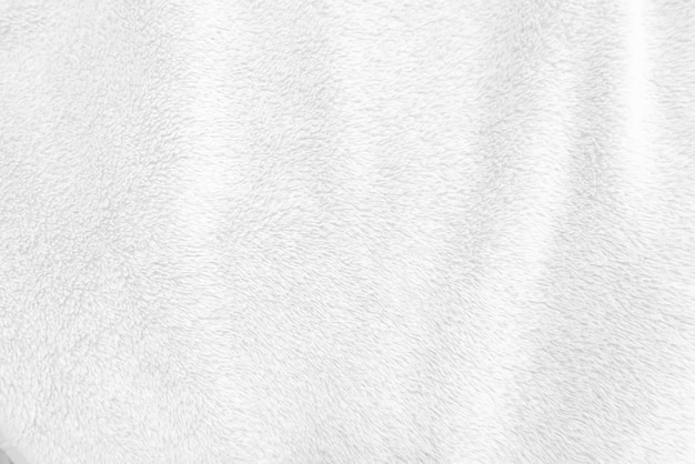 White clean wool texture background light natural sheep wool white seamless cotton texture of fluffy fur for designers closeup fragment white wool carpet