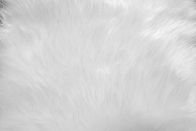 White clean wool texture background soft mink light natural sheep wool white seamless cotton