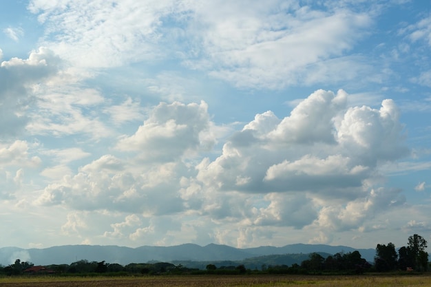 The white clouds have a quaint and rural shape The sky is cloudy and blue