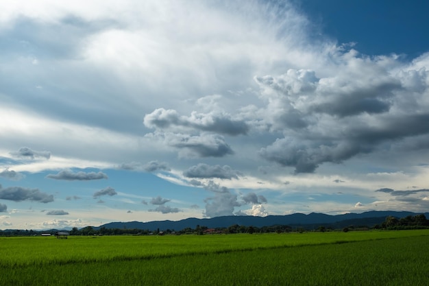 The white clouds have a strange shape and moutain.The sky and the open space have mountains below.Clouds floating above the mountains.