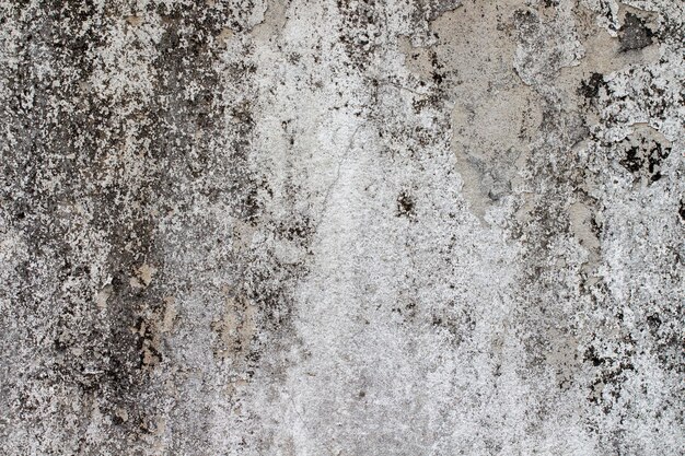 White concrete wall texture