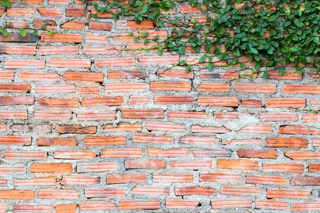 White concrete wall texture