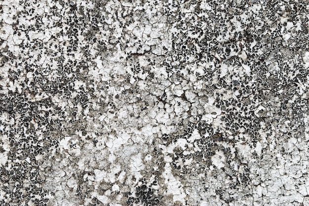 White concrete wall texture