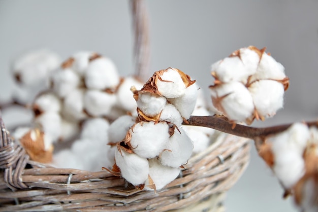 White cotton flowers in a basket