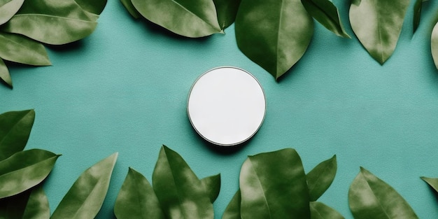 White cream jar overlooking top with decorative green foliage Skin care