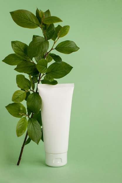 White cream tube with a sprig in green leaves on a light green background