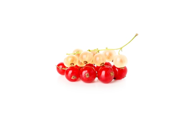 White currant and red currant isolated on white background