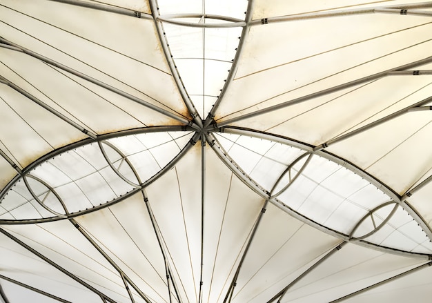 White Curved Roof Viewed from Inside