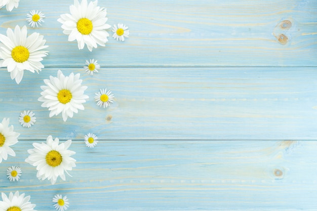 White daisies and garden flowers on a light blue worn wooden table. 