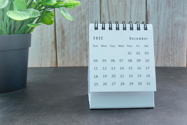 White December 2022 calendar with potted plant. 2022 New Year Concept