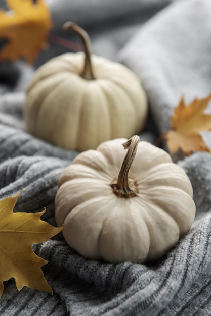 White decorative pumpkins