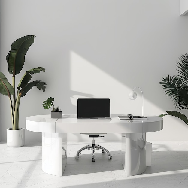 a white desk with a laptop and a plant in the corner