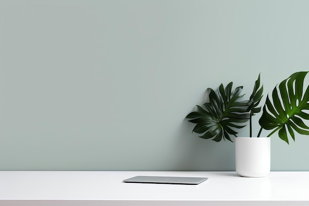 a white desktop and a laptop on a white table with plant