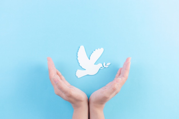 White dove made from paper cut for Peace day. Hand covering a white dove into the air.